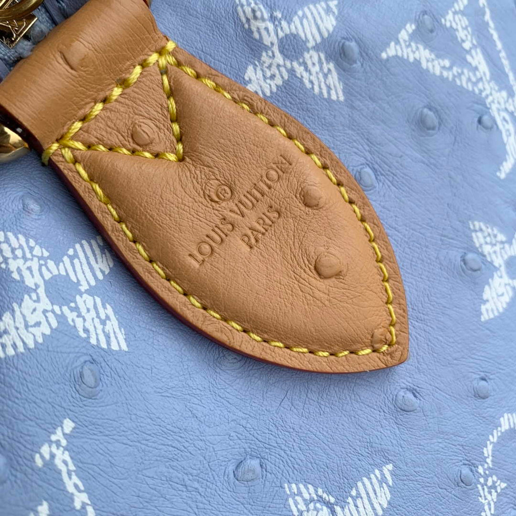LV M24417 Louis Vuitton Speedy P9 Bandouliere 40 Bag Light blue Ostrich Pattern