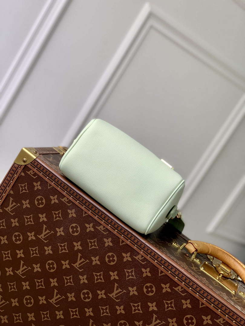 LV M24605 Louis Vuitton SPEEDY 18 LV&I Calf Leather Handbag Matcha Green - Default Title - View 8