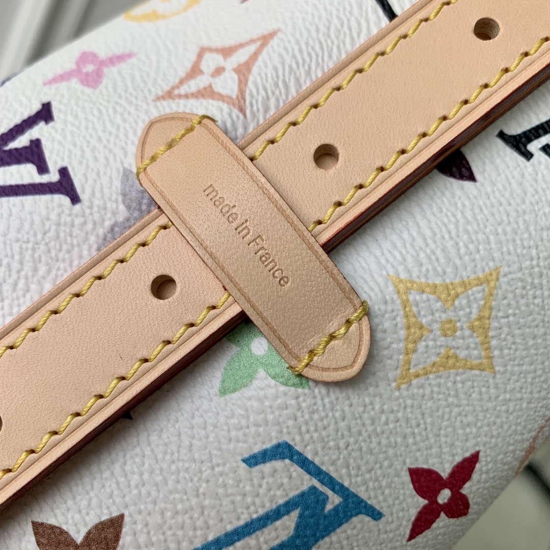LV M13661 Louis Vuitton LX x TM CarryAll PM Bag Multicolor