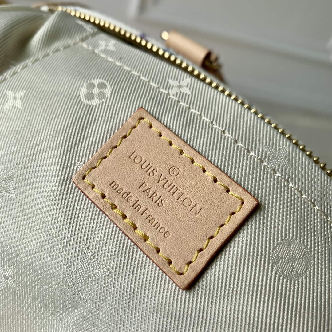LV M24709 Louis Vuitton Speedy Bandouliere 20 Handbag Multicolor Beige - Default Title - View 8