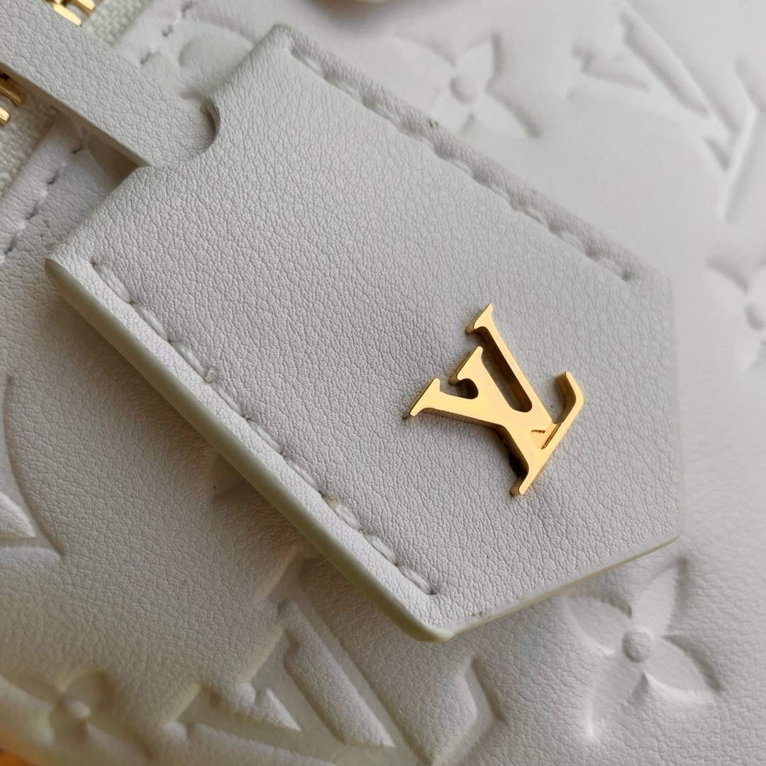 LV M25219 Louis Vuitton Vanity PM Handbag Cream - Default Title - View 5