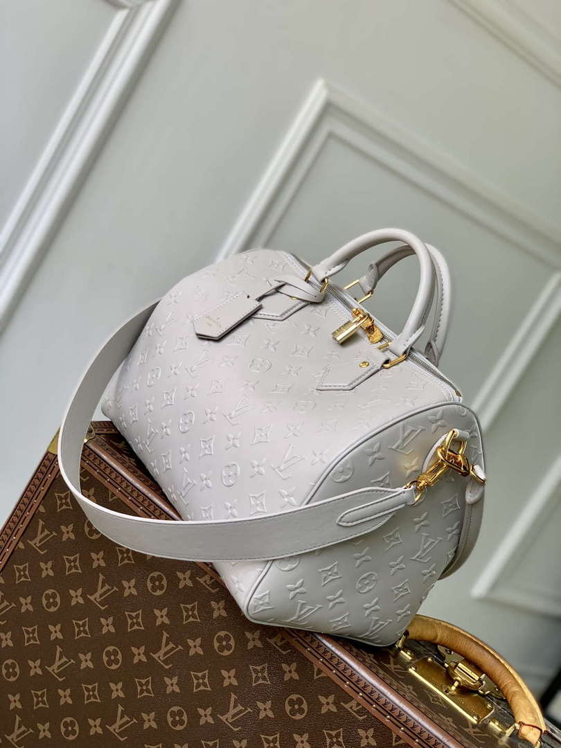 LV M25670 Louis Vuitton Speedy Soft 30 Bag Cloud Gray