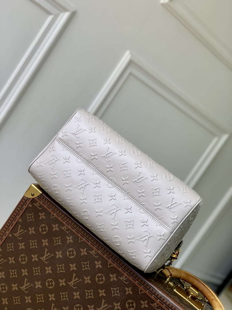 LV M25670 Louis Vuitton Speedy Soft 30 Bag Cloud Gray