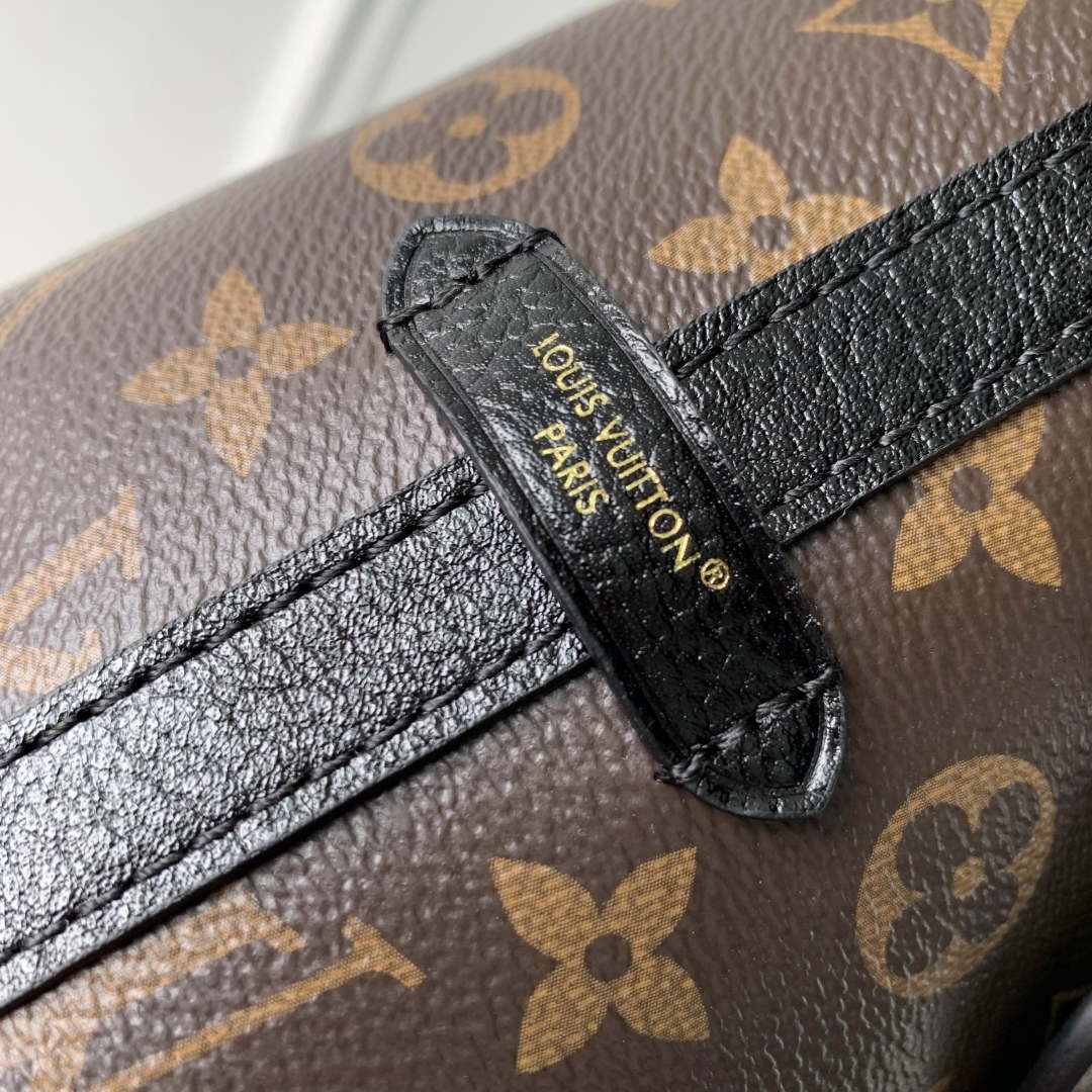 LV M26568 Louis Vuitton CarryAll BB Bag