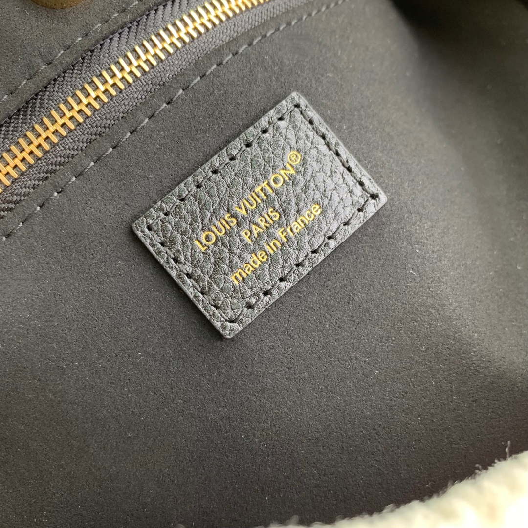 LV M26568 Louis Vuitton CarryAll BB Bag
