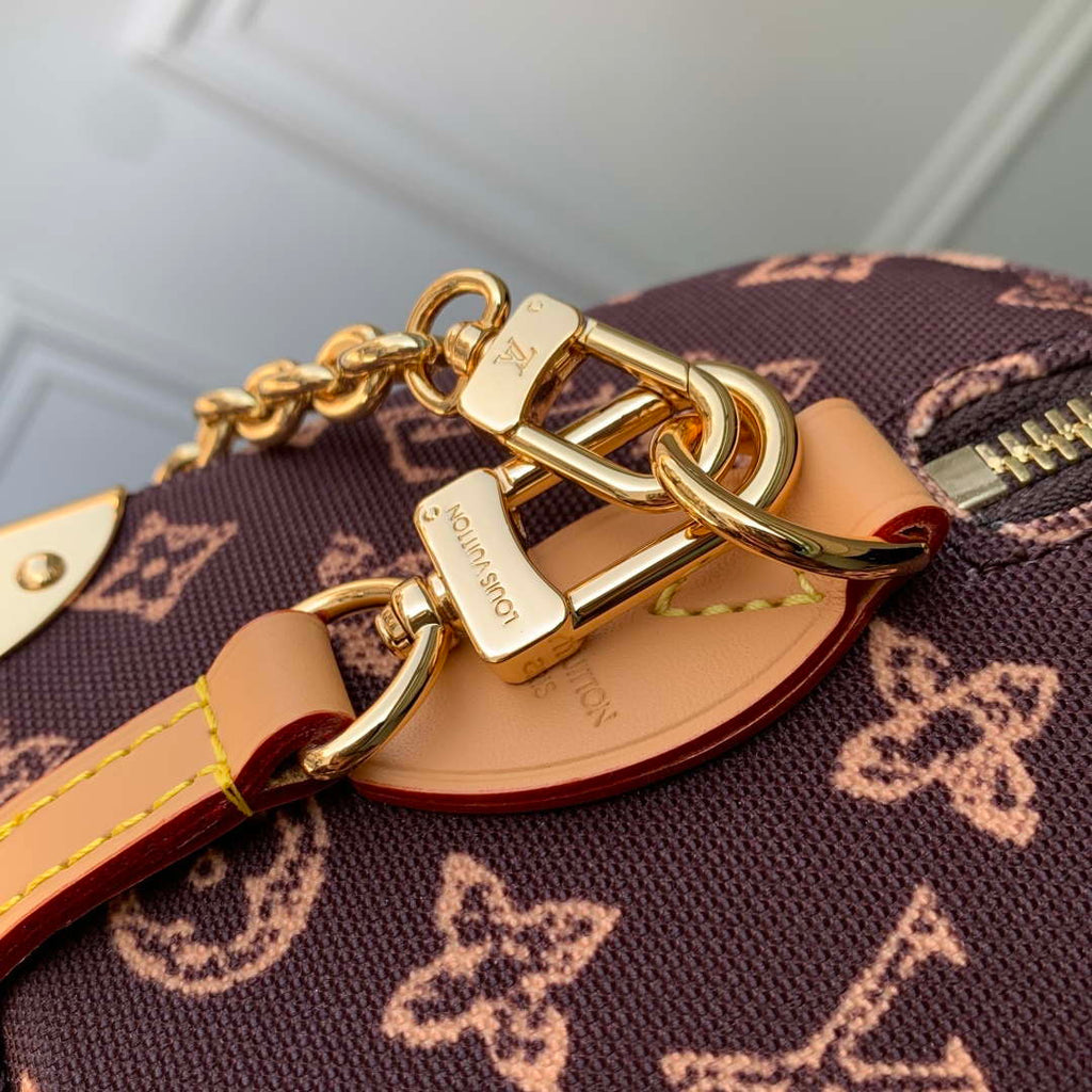 LV M28102 Louis Vuitton Speedy Trunk 20 Bag Brown