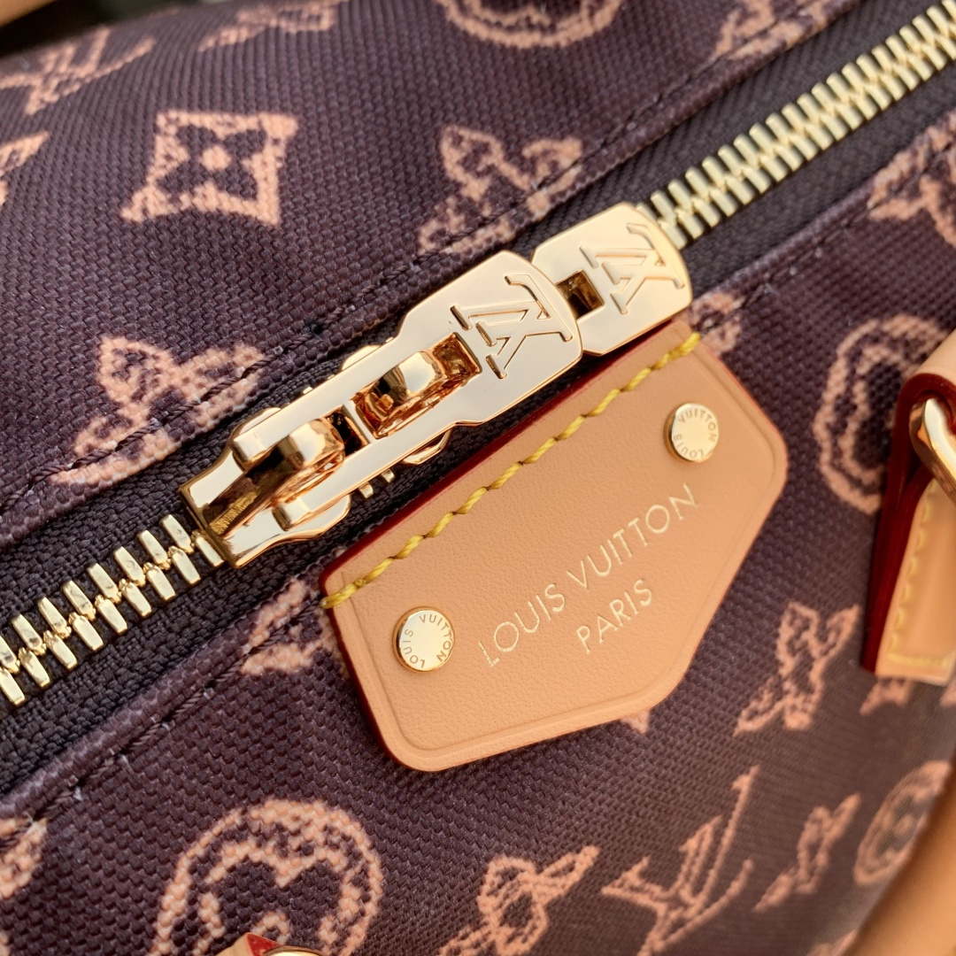 LV M28102 Louis Vuitton Speedy Trunk 20 Bag Brown