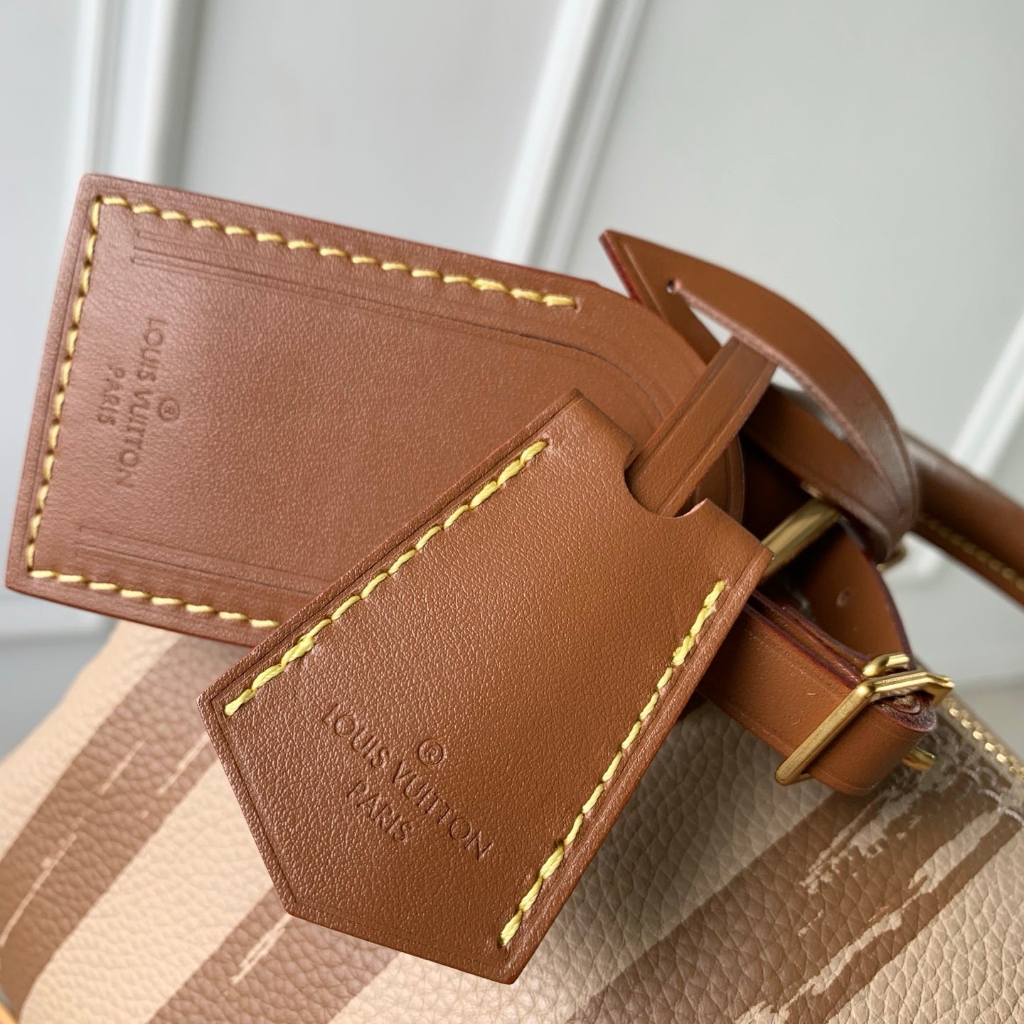 LV M28186 Louis Vuitton Speedy P9 Bandoulière 20 Bag Brown stripes