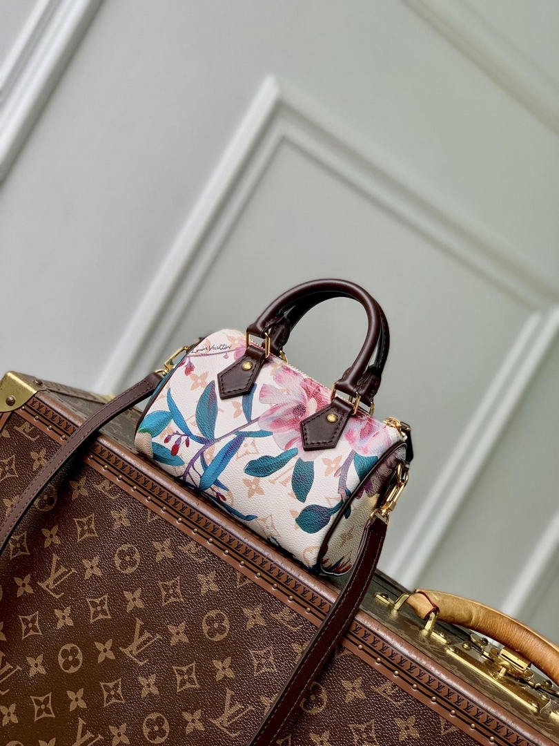 LV M29149 SS26 Collection Louis Vuitton Nano Speedy Bag Other Monogram Canvas