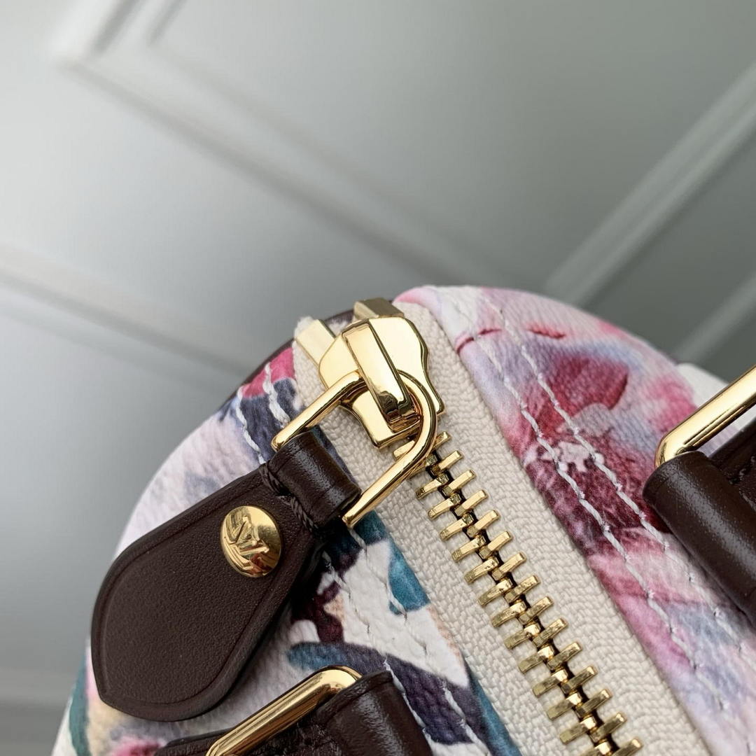 LV M29149 SS26 Collection Louis Vuitton Nano Speedy Bag Other Monogram Canvas