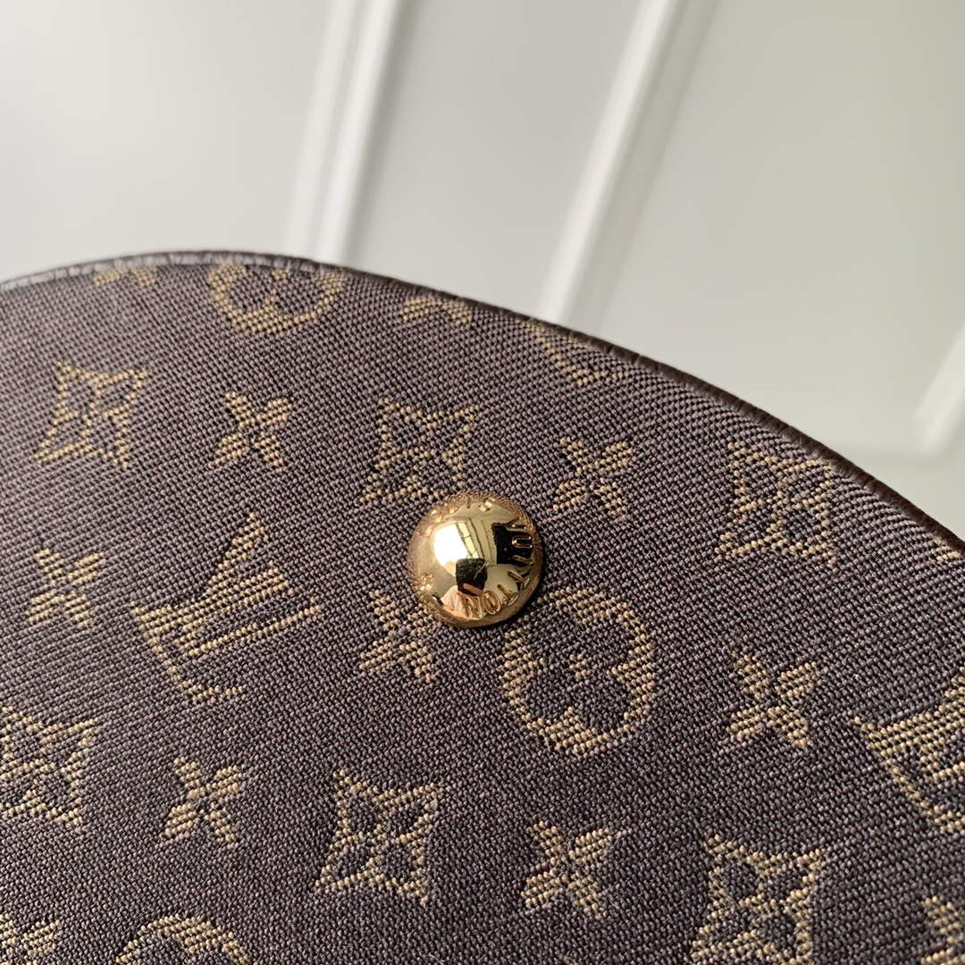LV M42238 Louis Vuitton Bucket PM Tote Bag Brown - Default Title - View 4