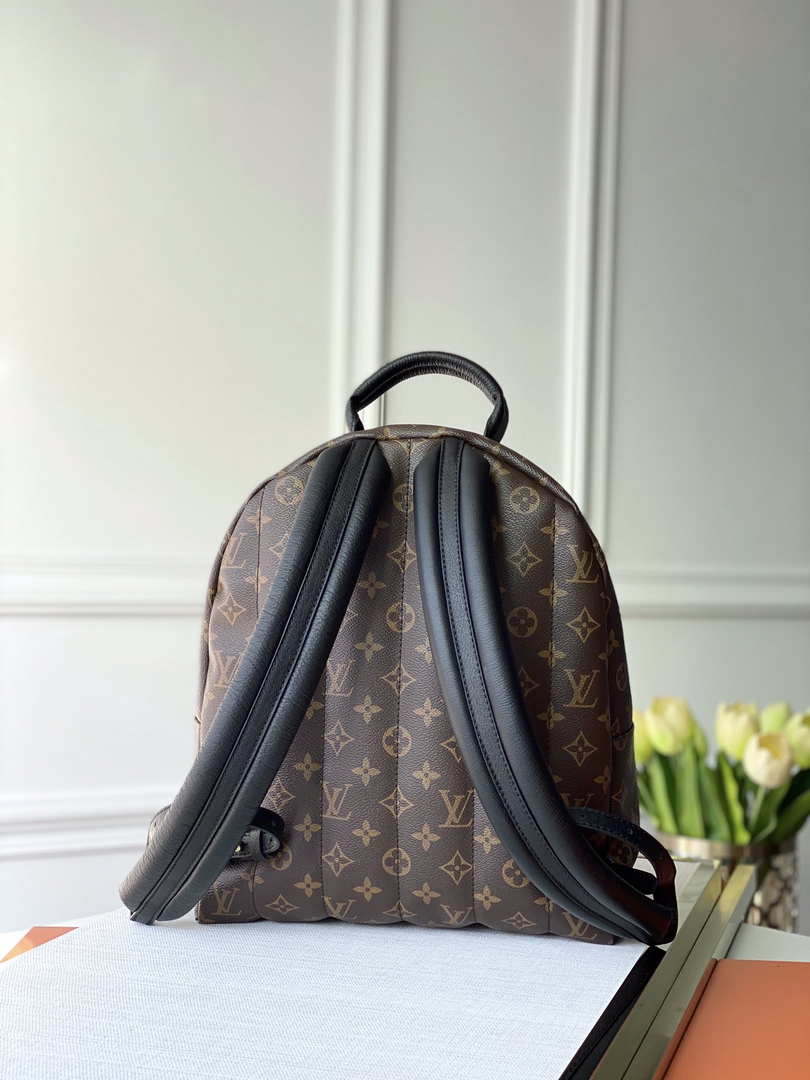 LV M44874 Louis Vuitton Palm Springs MM Monogram Bag - Default Title - View 3