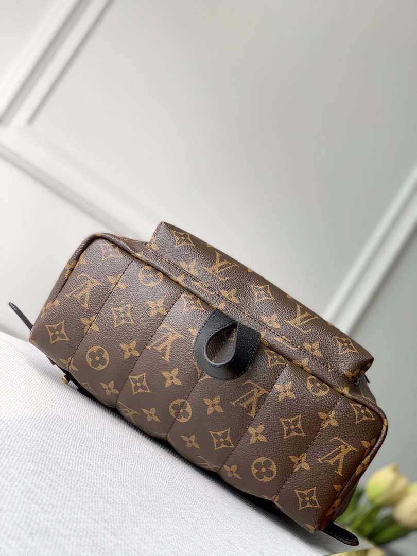 LV M44874 Louis Vuitton Palm Springs MM Monogram Bag - Default Title - View 5