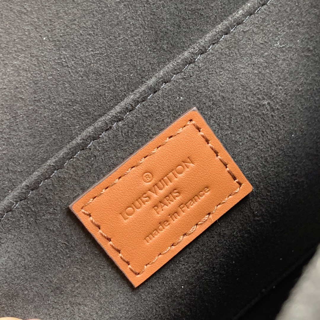 LV M45959 Louis Vuitton Dauphine Mini Bag Monogram - Default Title - View 9
