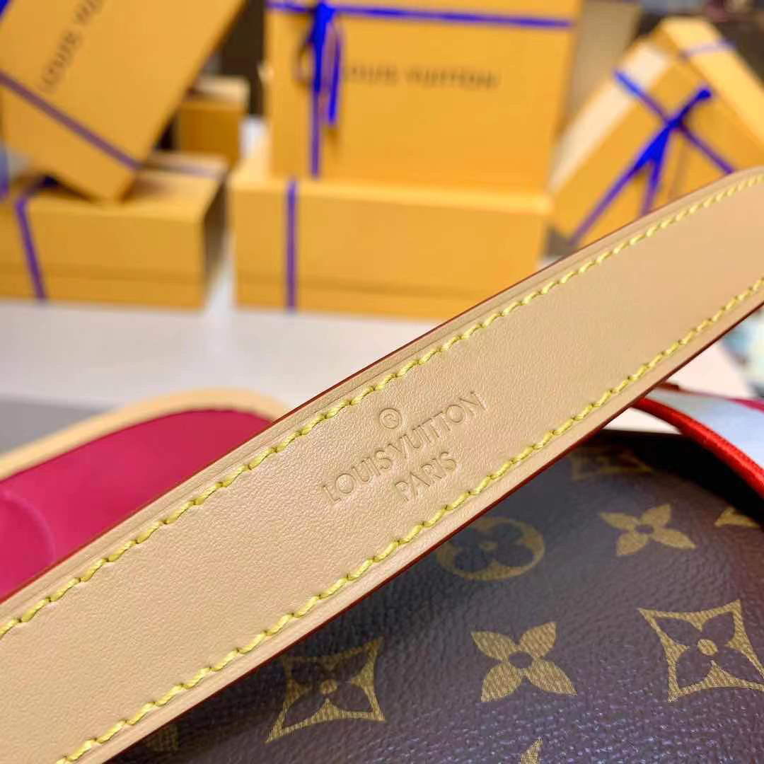 LV M46049 Louis Vuitton Diane Bag Monogram M45985 - Default Title - View 9