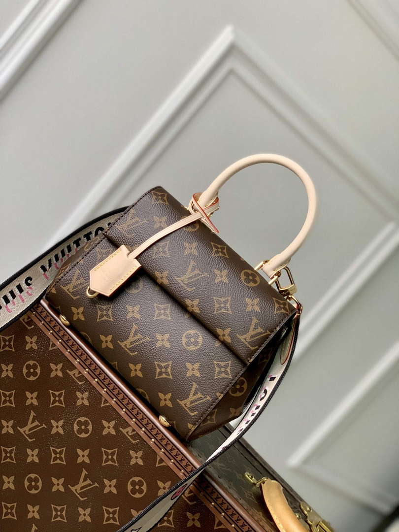 LV M46055 Louis Vuitton Cluny Mini Handbag Black Shoulder Strap - Default Title - View 1