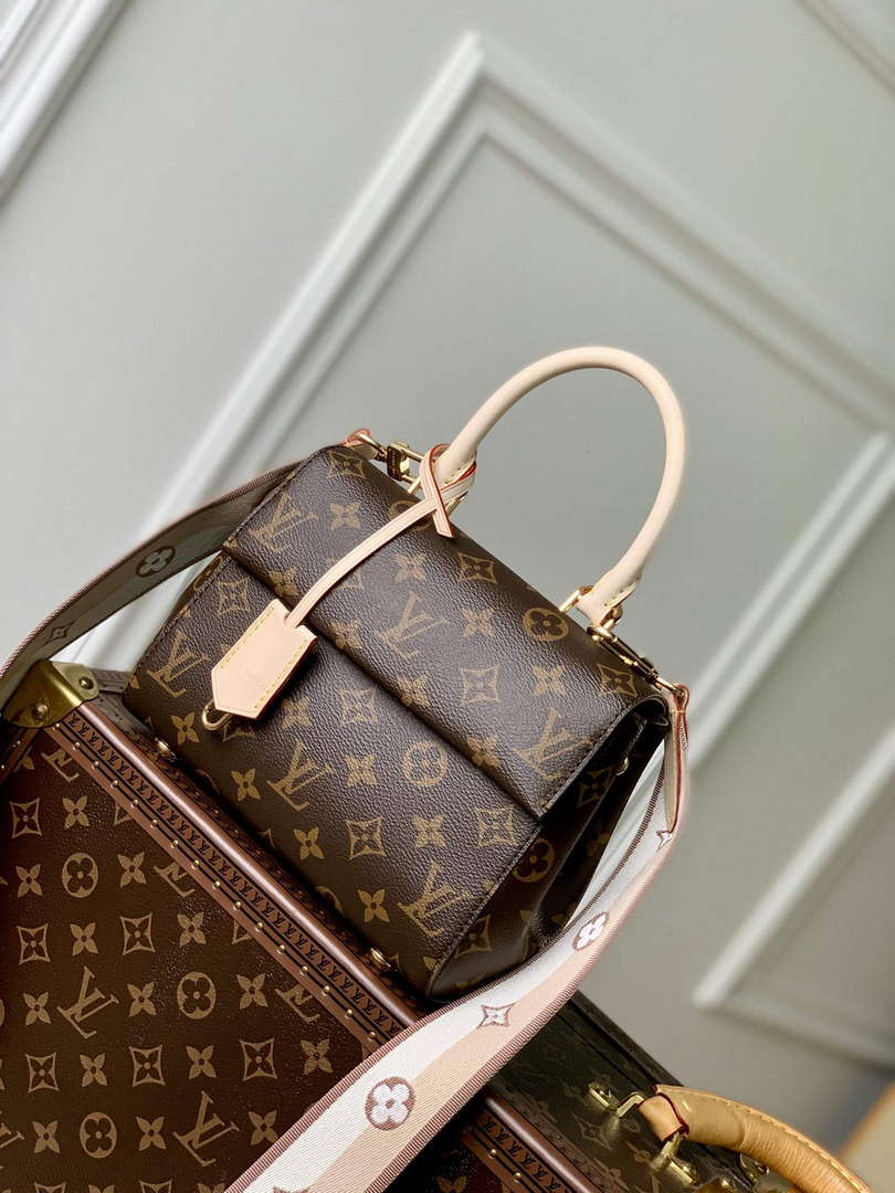 LV M46055 Louis Vuitton Cluny Mini Handbag - Default Title - View 2