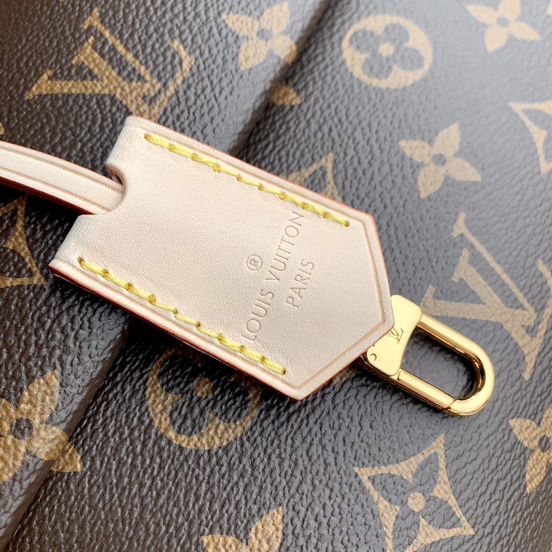 LV M46055 Louis Vuitton Cluny Mini Handbag - Default Title - View 5