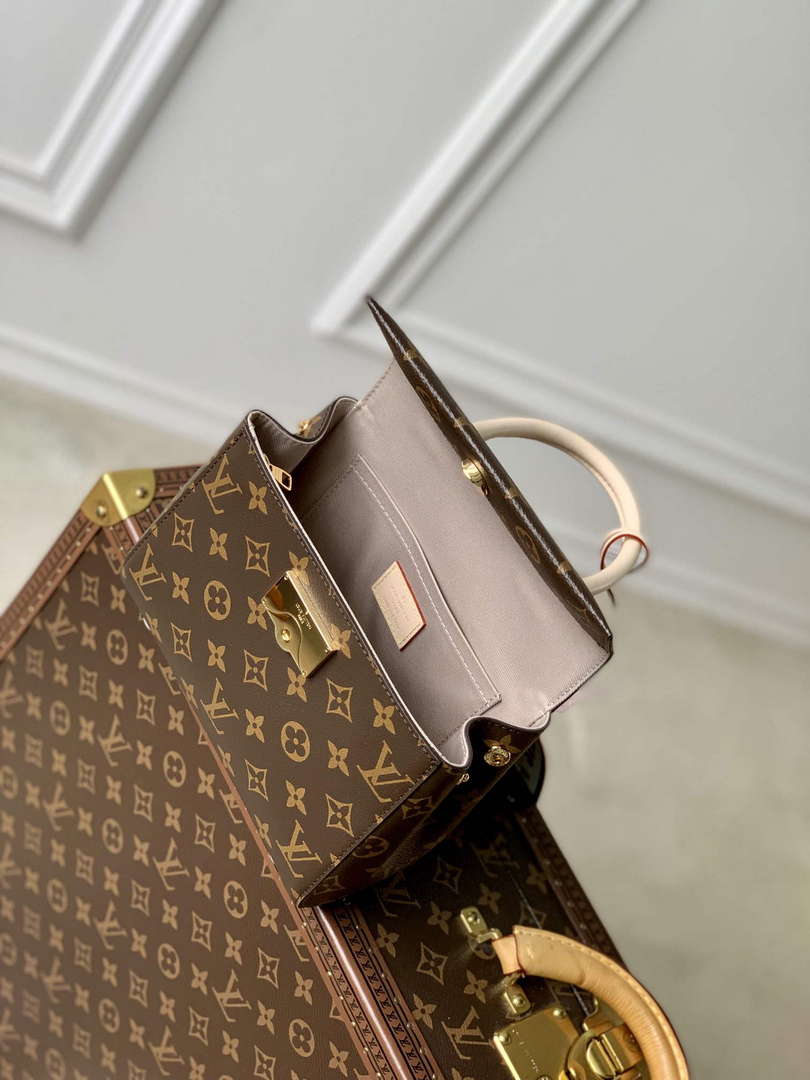 LV M46055 Louis Vuitton Cluny Mini Handbag - Default Title - View 8
