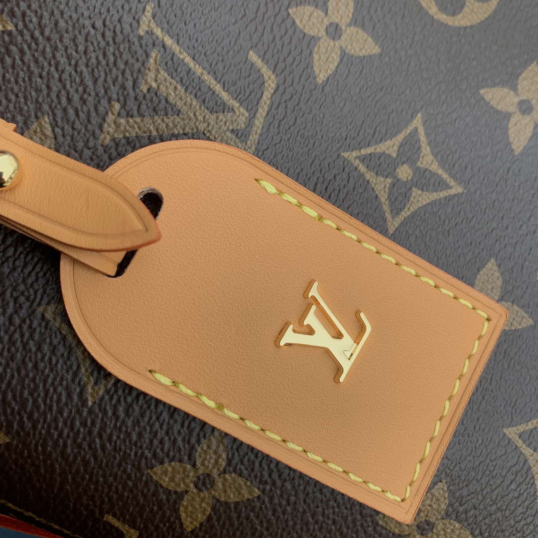 LV M46203 Louis Vuitton CarryAll PM Monogram Canvas