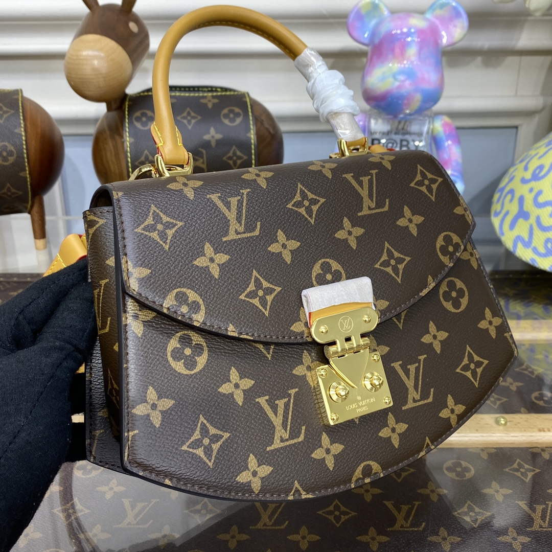 LV M46548 Louis Vuitton Tilsitt Monogram Handbag Brown - Default Title - View 5