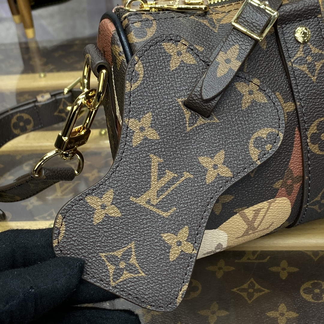 LV M46678 Louis Vuitton Keepall Bandouliere 25 Bag Brown