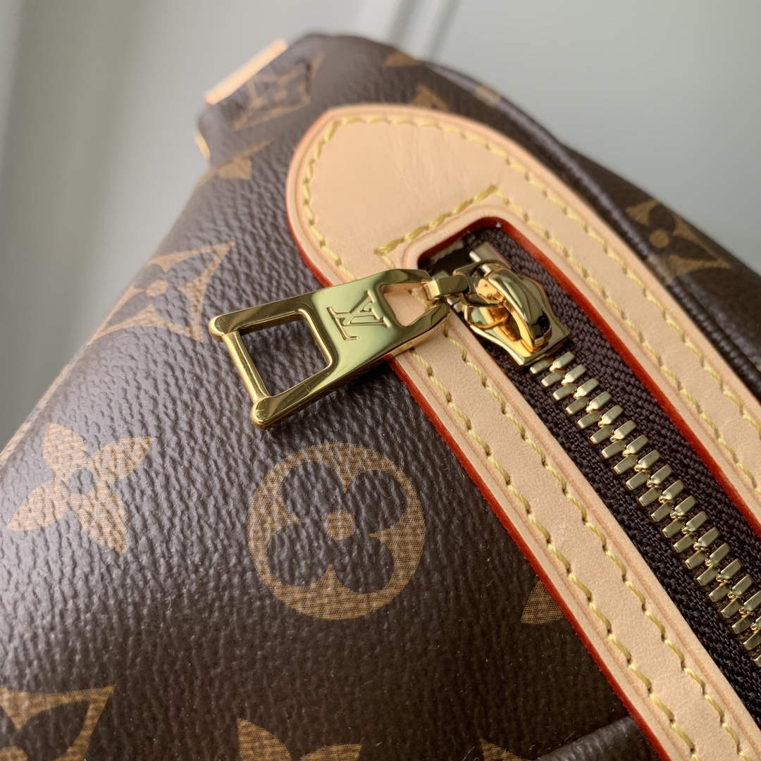 LV M46784 Louis Vuitton High Rise Bumbag - Default Title - View 5