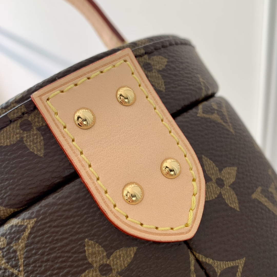 LV M46933 Louis Vuitton Scott Bag Monogram - Default Title - View 6