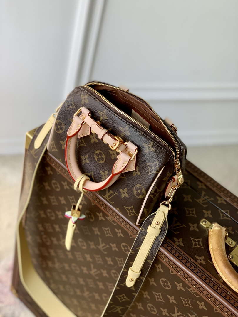LV M46970 Louis Vuitton Nano SPEEDY 18 Monogram