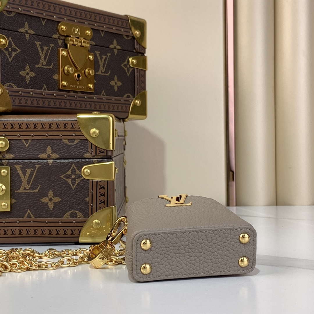 LV M48865 Louis Vuitton Capucines Micro Bag Gray