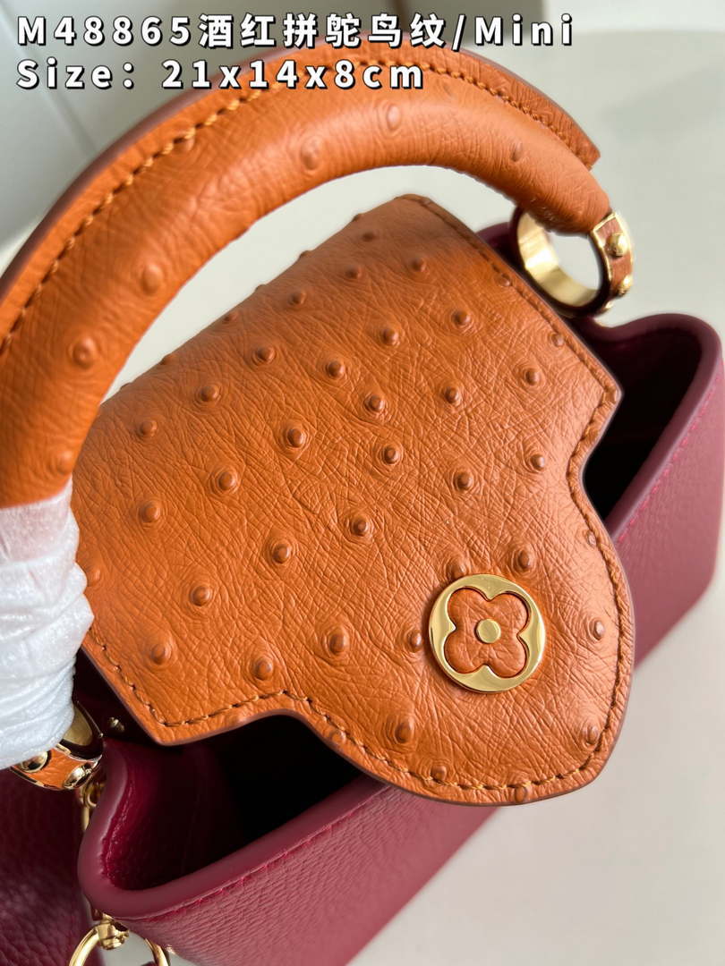 LV M48865 Louis Vuitton Capucines Mini Bag Stitched ostrich leather Wine Red - Default Title - View 4