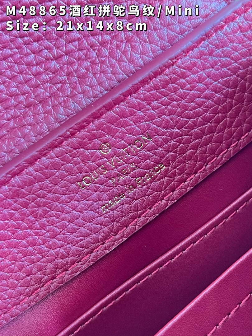 LV M48865 Louis Vuitton Capucines Mini Bag Stitched ostrich leather Wine Red - Default Title - View 9