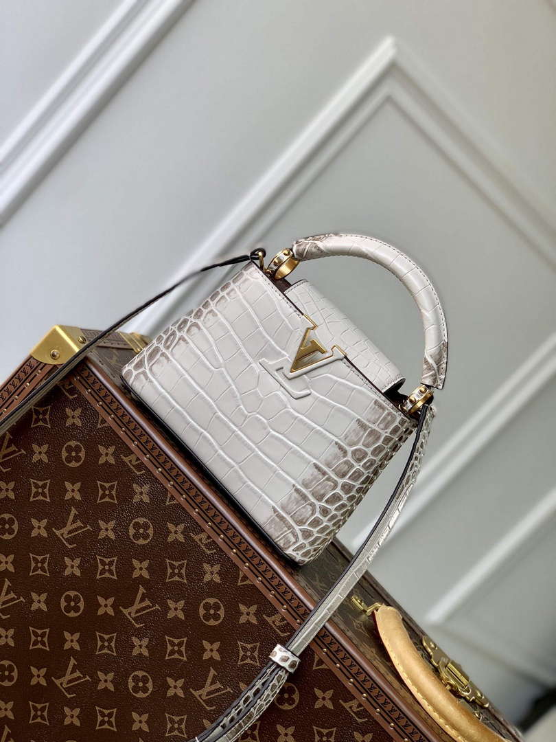 LV M48865 Louis Vuitton Capucines Mini Handbag Himalayas - Default Title - View 1