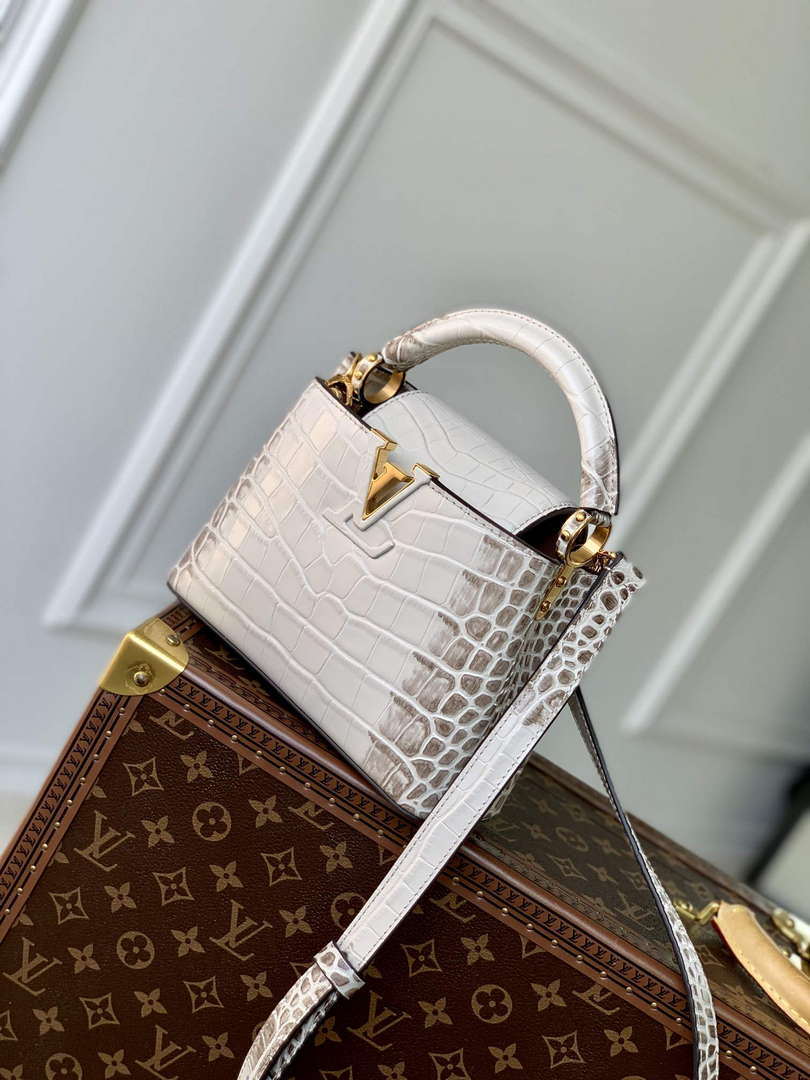 LV M48865 Louis Vuitton Capucines Mini Handbag Himalayas - Default Title - View 2