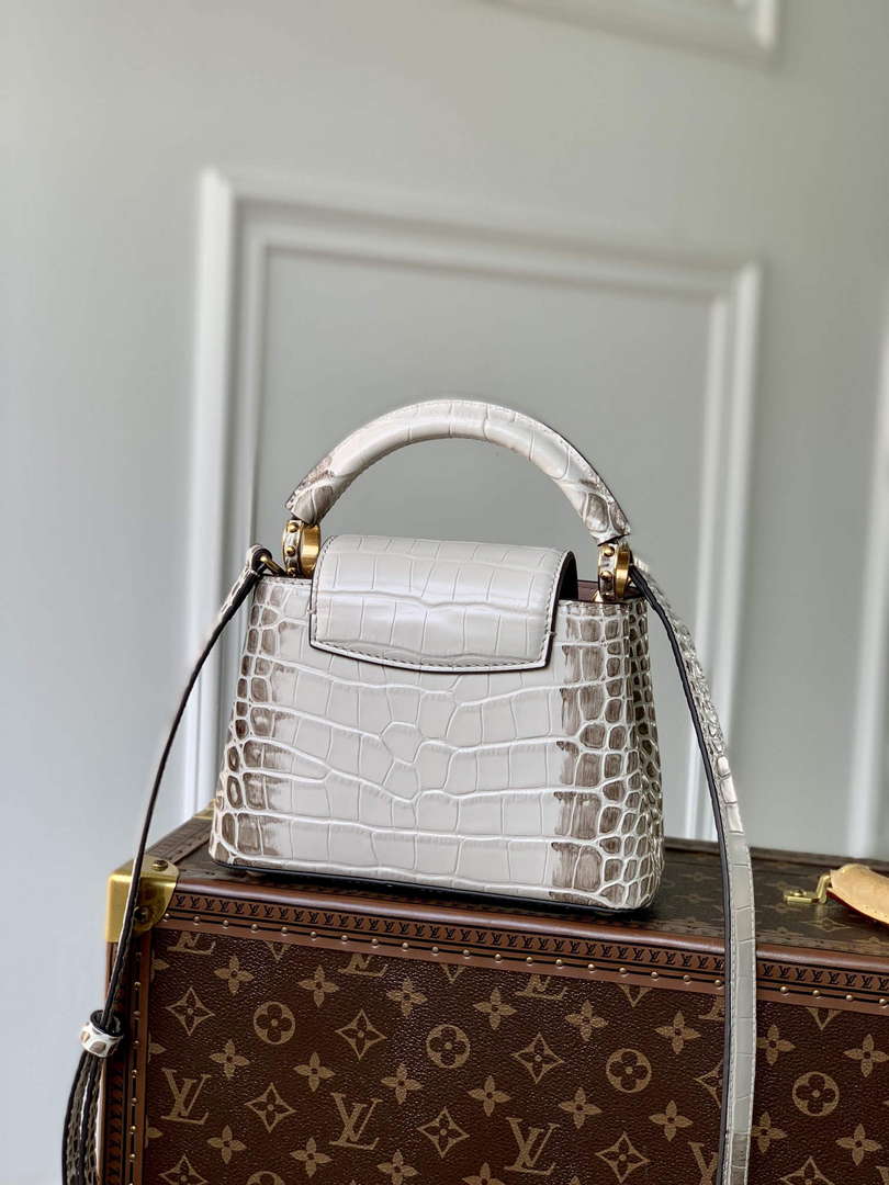 LV M48865 Louis Vuitton Capucines Mini Handbag Himalayas - Default Title - View 3