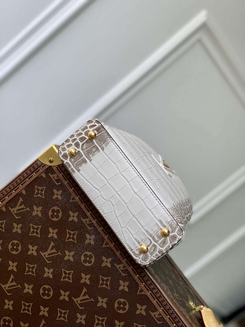 LV M48865 Louis Vuitton Capucines Mini Handbag Himalayas - Default Title - View 4