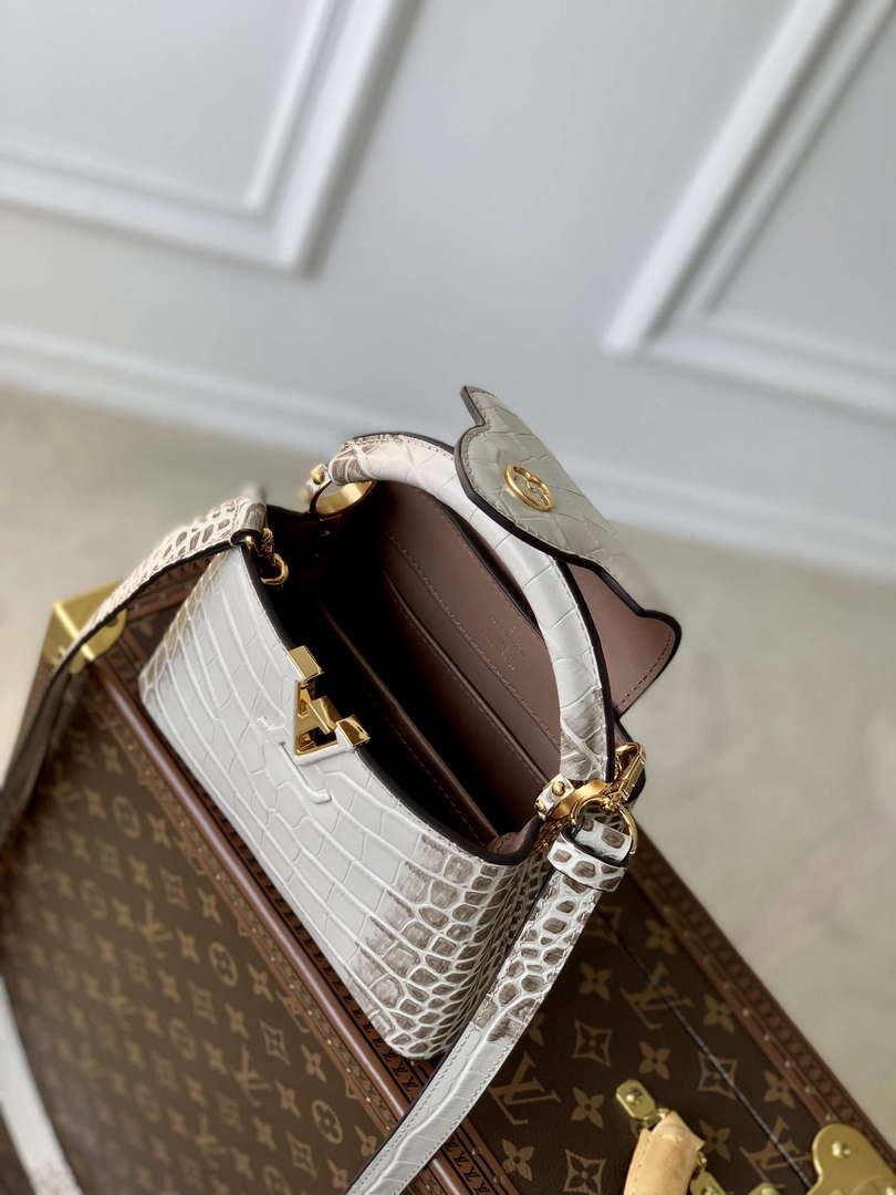 LV M48865 Louis Vuitton Capucines Mini Handbag Himalayas - Default Title - View 8