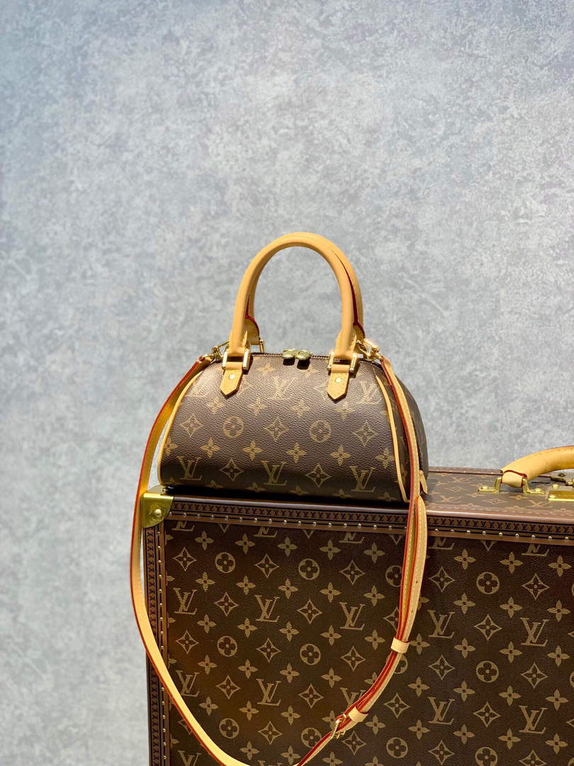 LV M50202 Louis Vuitton Ribera Mini Boston Handbag - Default Title - View 1