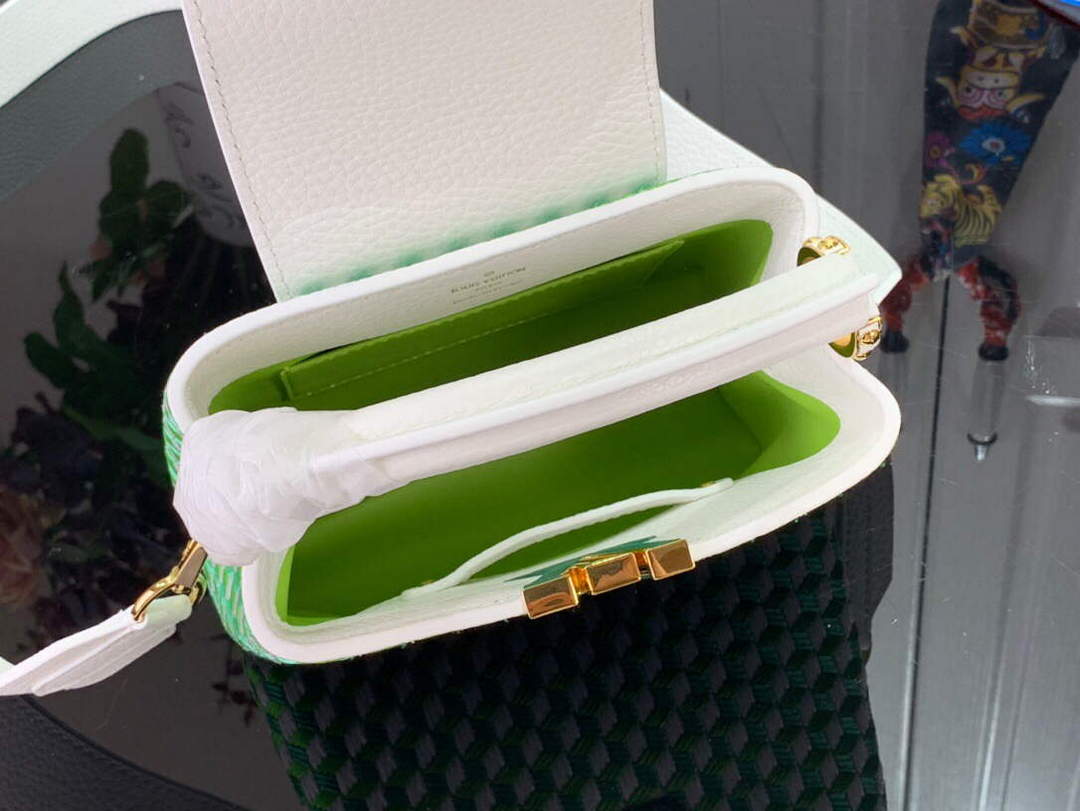 LV M59879 Louis Vuitton capucines mini Bag White Green - Default Title - View 9