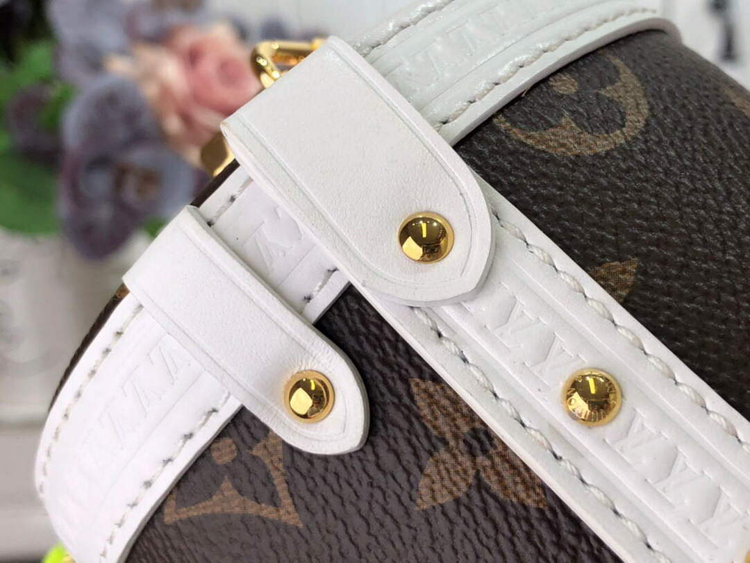 LV M81485 Louis Vuitton Papillon Trunk Handbag White - Default Title - View 9