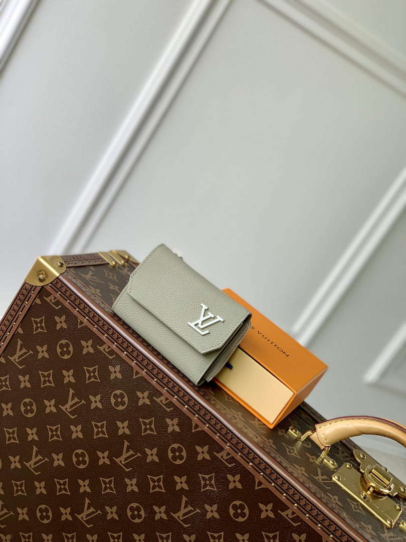 LV M82410 Louis Vuitton Slender Pilot Sage