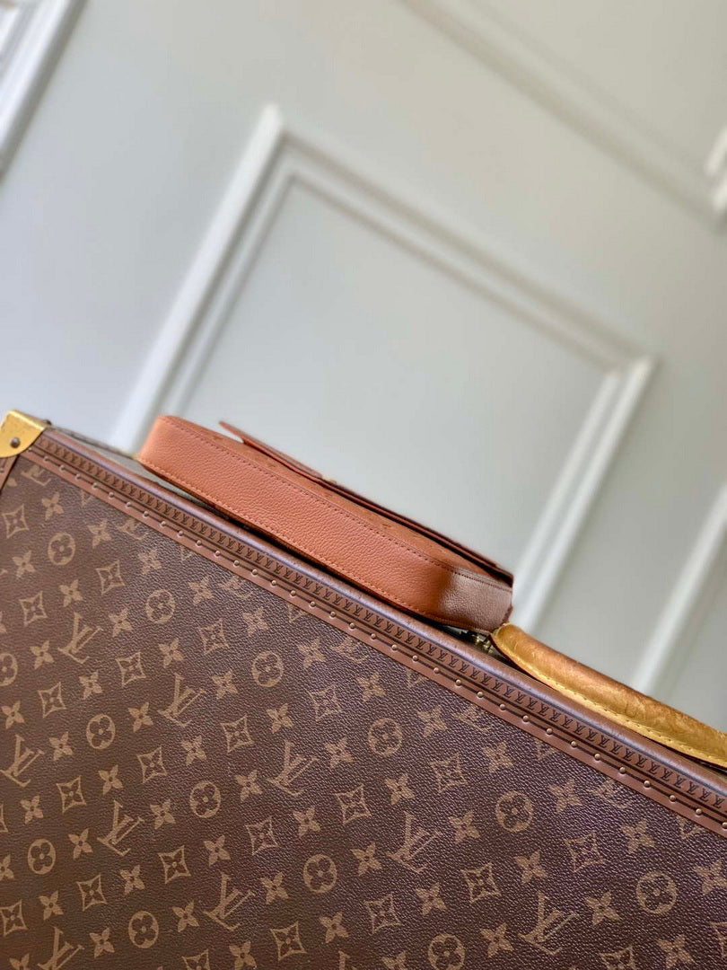 LV M82477 Louis Vuitton Pochette F¨¦licie Bag Tan