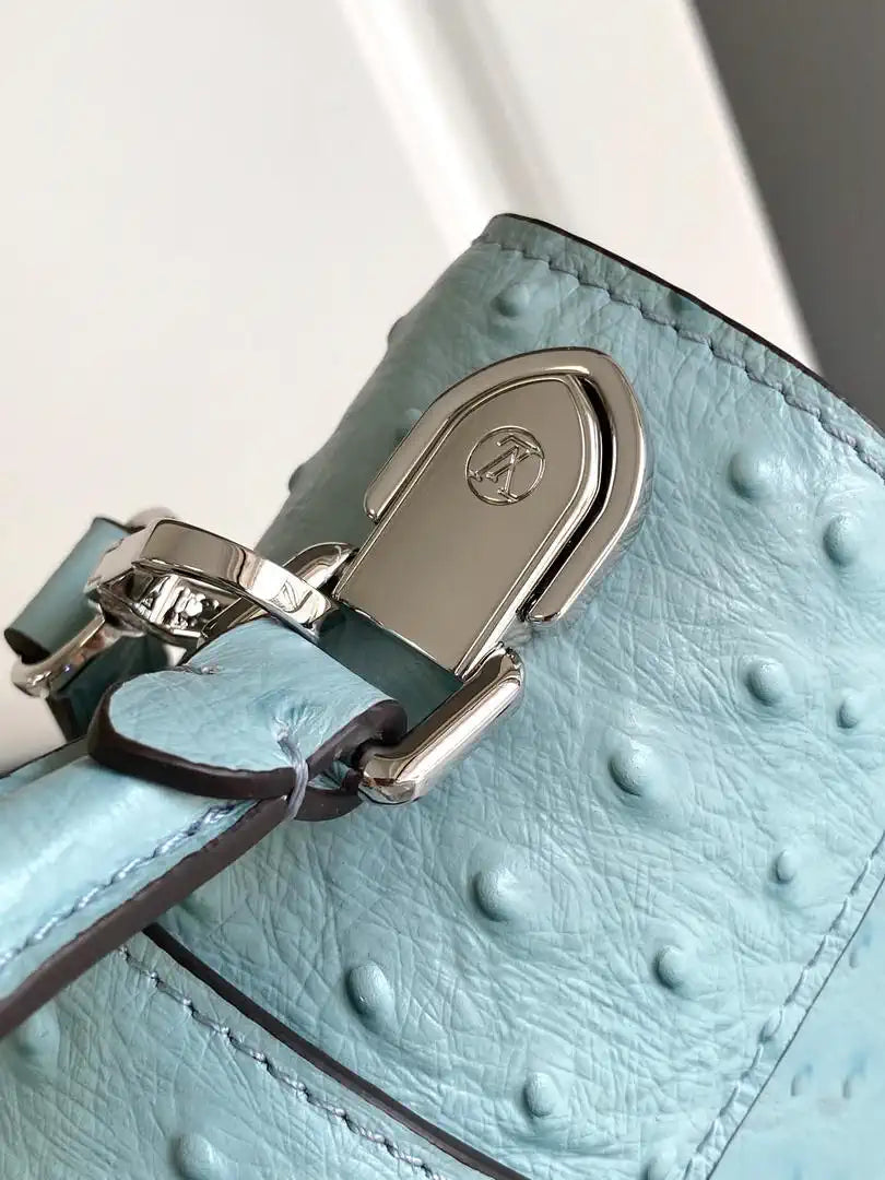 LV M87106 Louis Vuitton Ostrich Rose Des Vents Mini Ligth Blue
