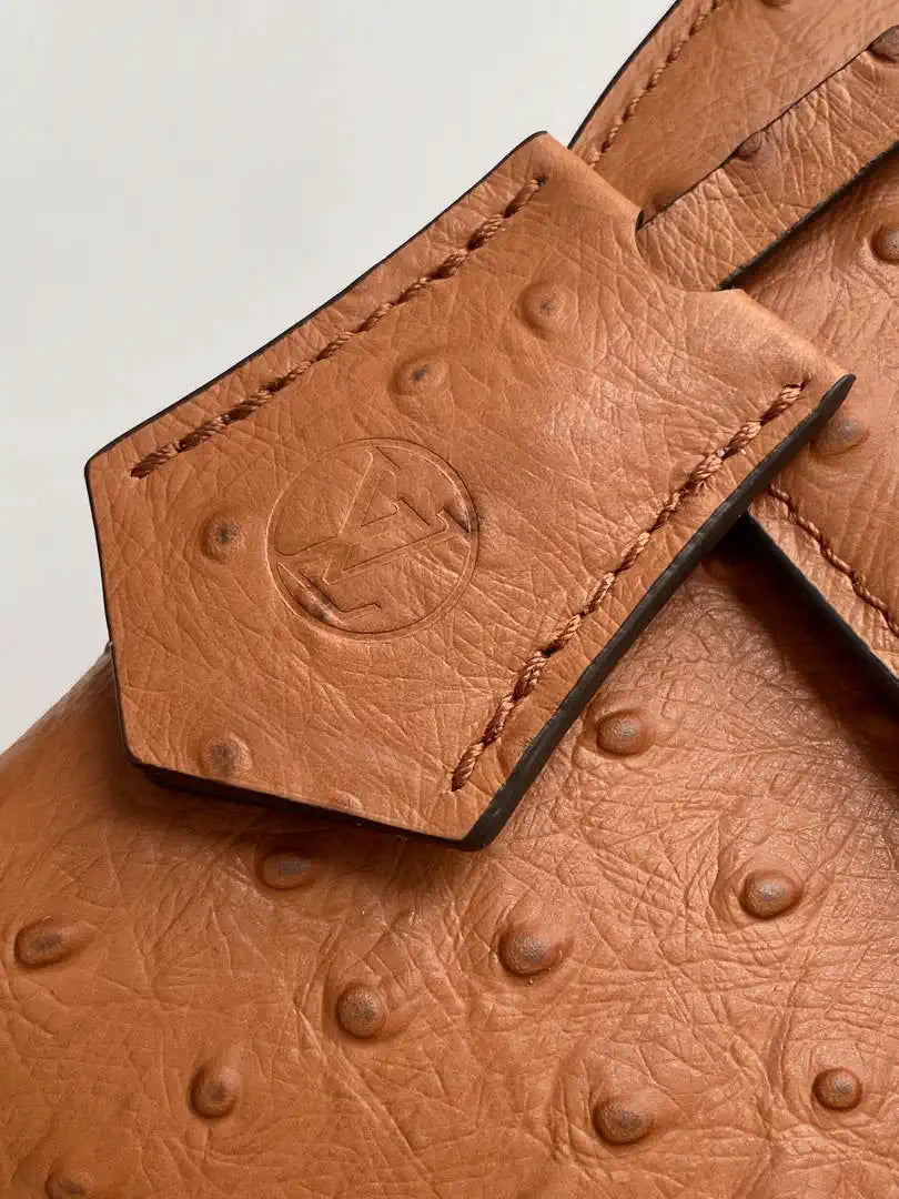 LV M87106 Louis Vuitton Ostrich Rose Des Vents Mini Brown