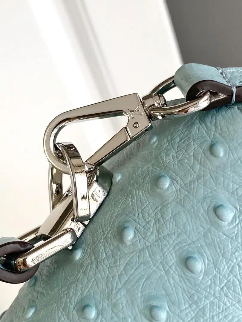 LV M87107 Louis Vuitton Ostrich Rose Des Vents MM Light Blue