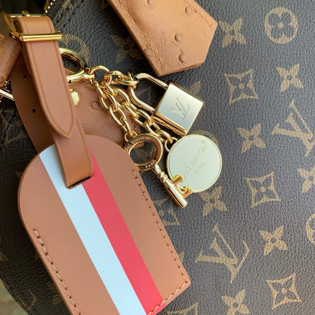 LV N30049 Louis Vuitton Alma MM Soft Celebration Bag
