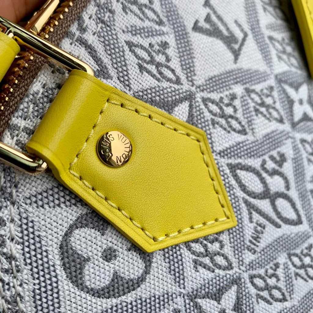 LV N40447 Louis Vuitton Alma BB Bag Yellow