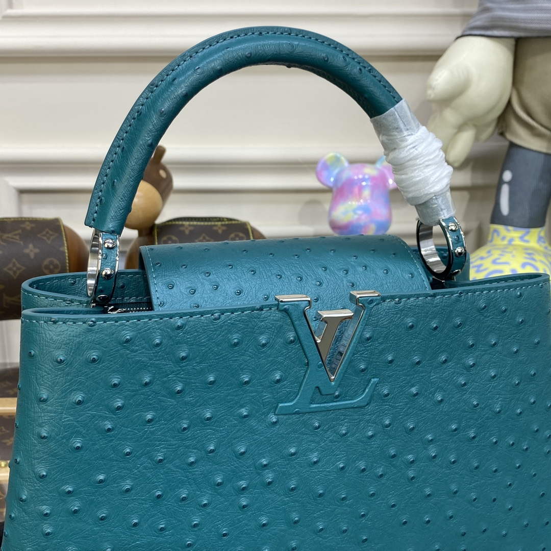 LV N81279 Louis Vuitton Capucines MM Handbag Lake blue - Default Title - View 5