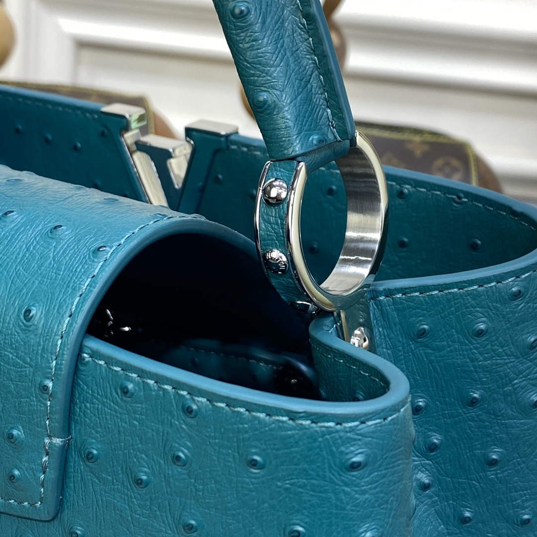 LV N81279 Louis Vuitton Capucines MM Handbag Lake blue - Default Title - View 7