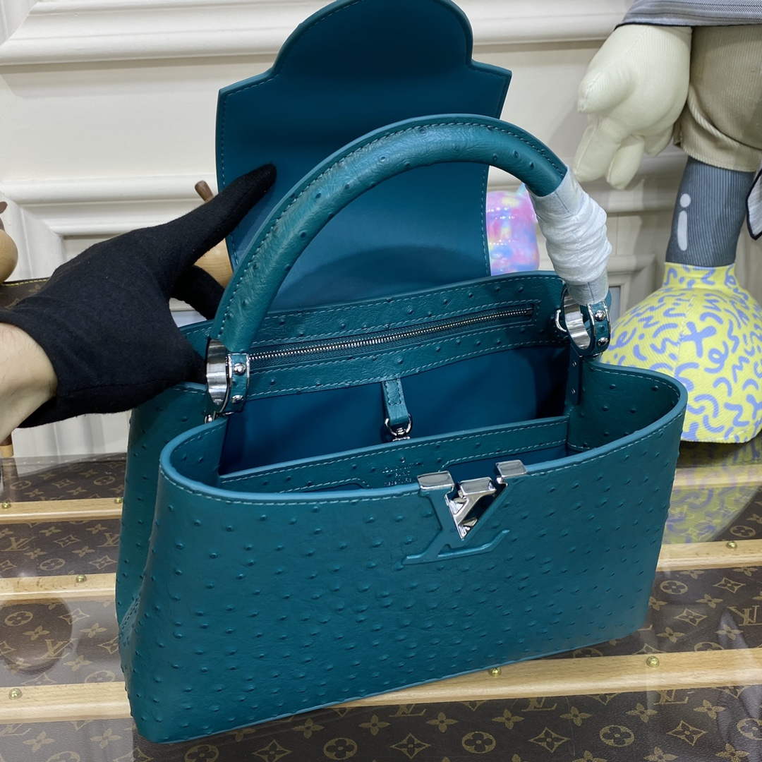LV N81279 Louis Vuitton Capucines MM Handbag Lake blue - Default Title - View 9